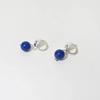 Curve Motion - Earring 11