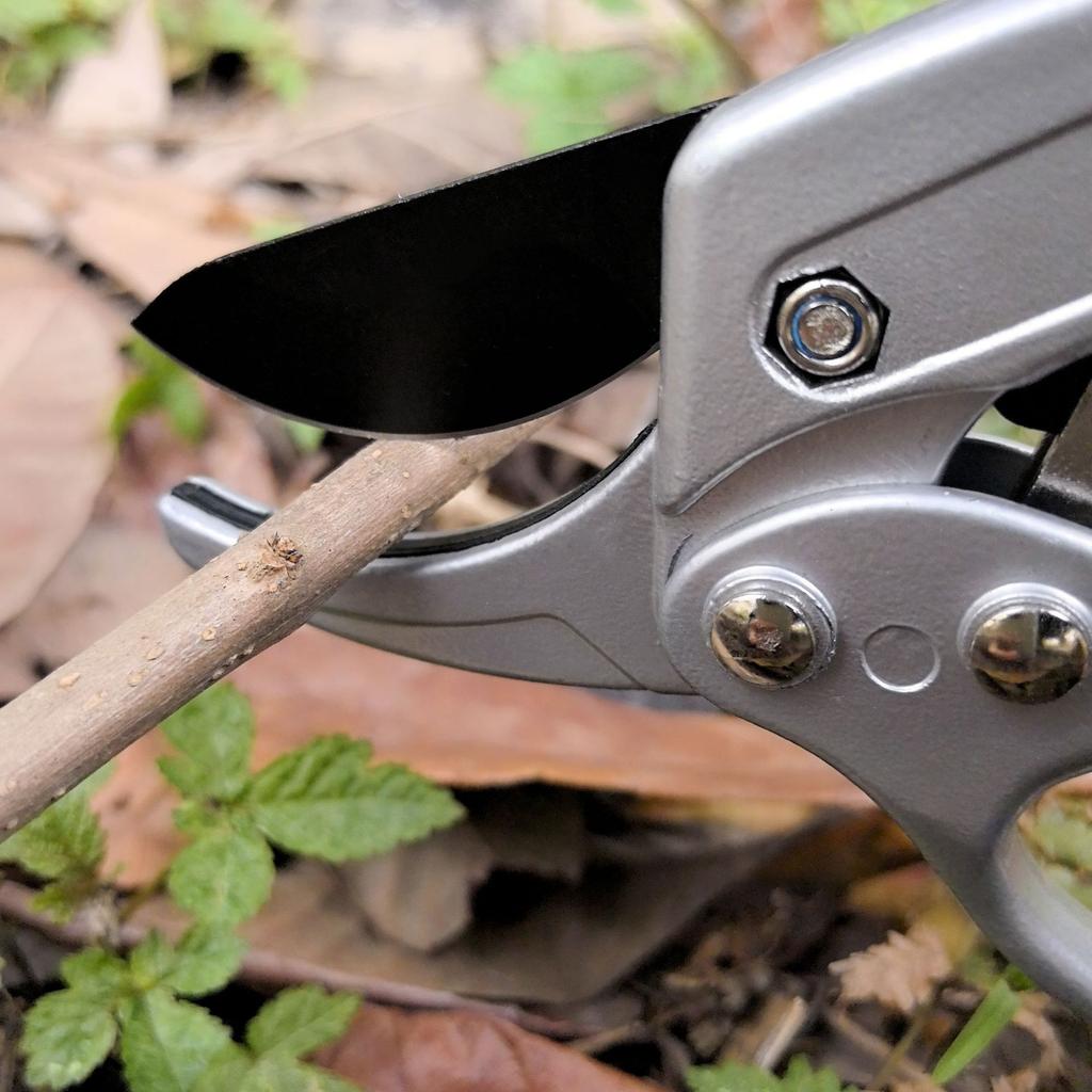 Lättanvända trädgårdssaxar, Specialiserade saxar för beskärning av grenar och blommor, Beskärningsverktyg för blomsterarrangemang för hemmabruk