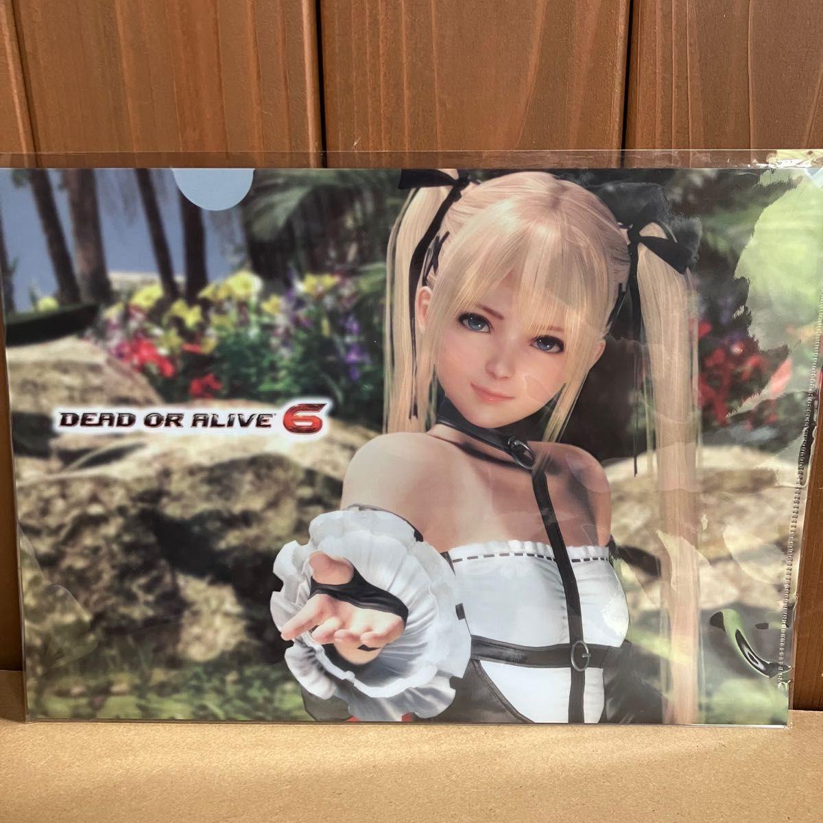 Used Clear file Marie Rose & Honoka A4 clear file DEAD OR ALIVE 6