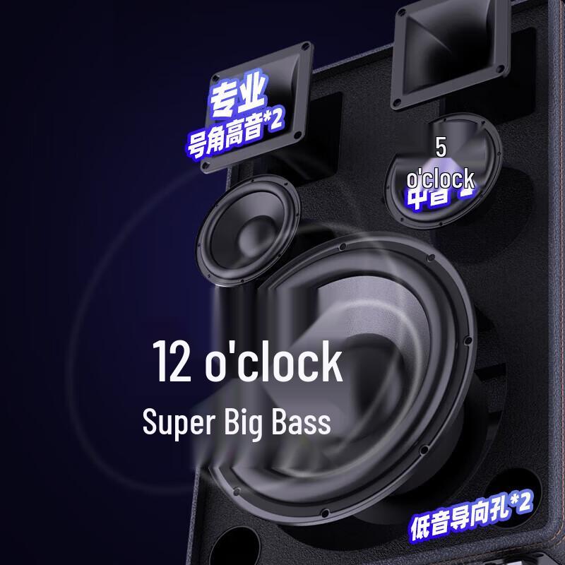 SANSUI PQ125 Portable Smart KTV Speaker with Display CN Plug (adapter Included)