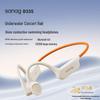 SANAG B33S Bone Conduction Bluetooth Sports Earphones