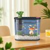 Transparent Plastic Fish Tank Space-Saving Clear Table Fish Bowl Tabletop Fish Bowl  Plant Growing