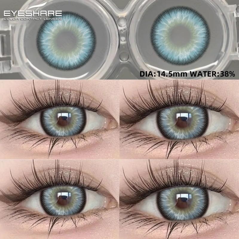 Eyeshare 1pair LOIRE Brown Color Contact Lenses Grey Colored Contact Lens Softlens Valid for 6 Months