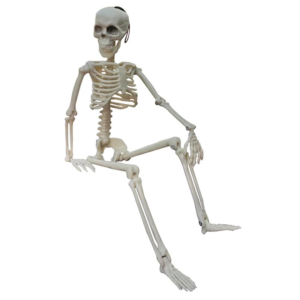 Skeleton Flexible Human Skeleton Model Car Decoration Anatomy Skeleton People Active Model