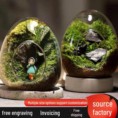 Kreatives eiförmiges Glas-Terrarium für Sukkulenten und Moos