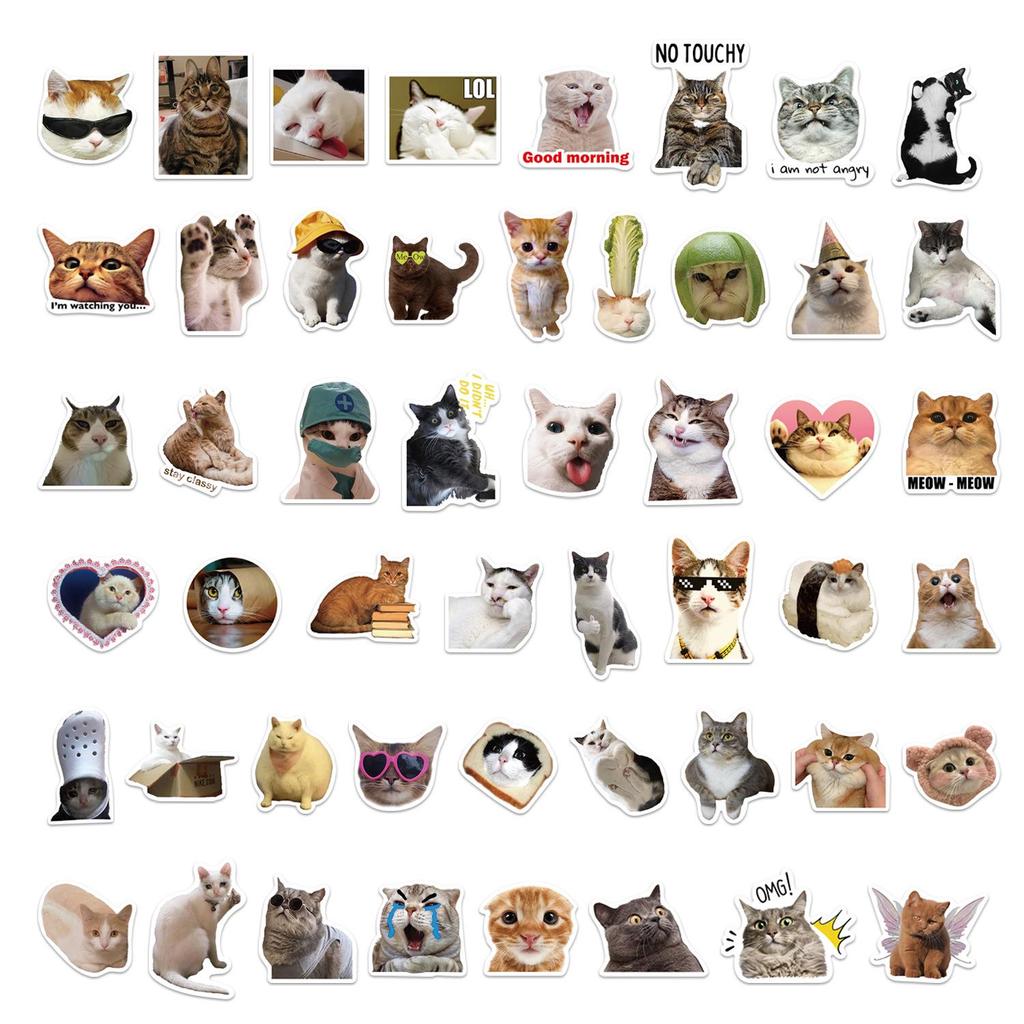 50-Pack Waterproof Internet Cat Meme Stickers for Notebook, Phone, Water Bottle
