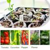 Natural Soil Compressed Mud Pellets for For Sprout Germination Biodegradable and Easy To Use Gardening Material