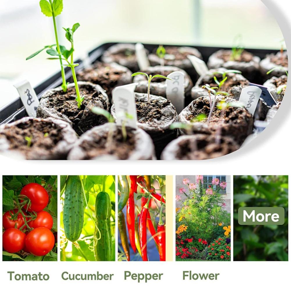 Natural Soil Compressed Mud Pellets for For Sprout Germination Biodegradable and Easy To Use Gardening Material