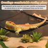2Pcs Bearded Dragon Hammock, Breathable Mesh Reptile Hammock Lizard Tank Accessories, Triangle Geckos Hammocks for Bearded Dragons, Snakes, and