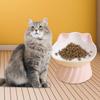 Cat Food Bowls, 15 Degree Tilting Skid Feeding Station Basin Large Capacity Drinking Raised