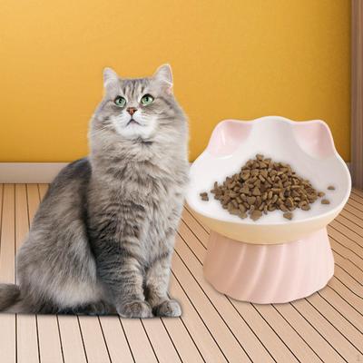 Cat Food Bowls, 15 Degree Tilting Skid Feeding Station Basin Large Capacity Drinking Raised