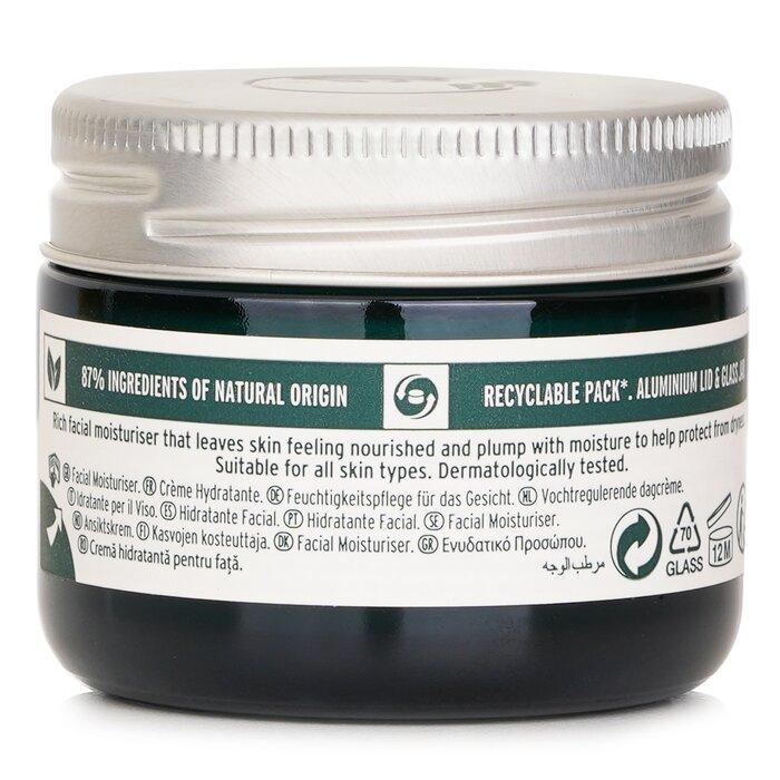 The Body Shop Vitamin E Moisturizing Day Cream