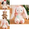 Cartoon Teddy Bear Stuffed Animal With Super Soft Plush For Playroom And Gift Giving