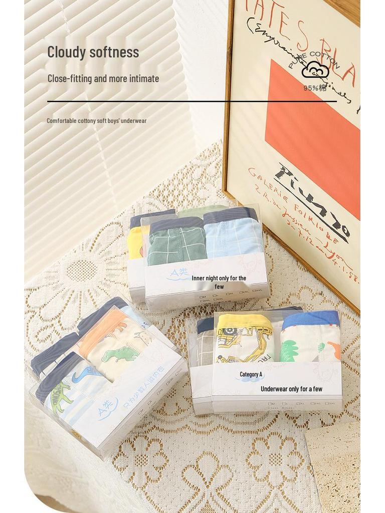2-Piece Box: Boys' Cotton Boxer Briefs for Toddlers and Kids (Medium & Large)