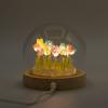 Floral Glow Garden Dome – 20 Multi Tulips – LED USB