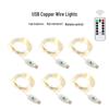 100m LED USB Copper Wire String Lights - Multicolor Starry Sky Christmas Decor