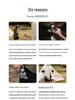 DJI Osmo Mobile SE Handheld Gimbal: Portable, Foldable, Anti-Shake Stabilizer for Smooth Selfies and Follow Shots