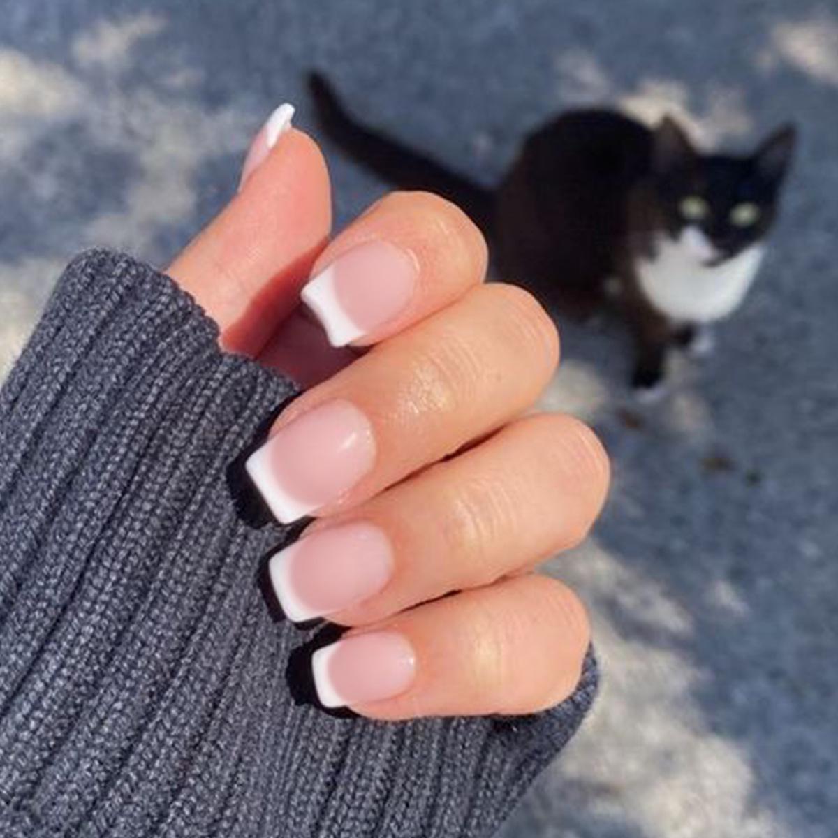 

French White Wearable Nail Art: Finished False Nails & Removable Tips Glue Type