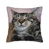 Cat Nap Artistic Design Pillow Case Kawaii Pillow Cover Comfy Pillowcases For Sofa Home Decor