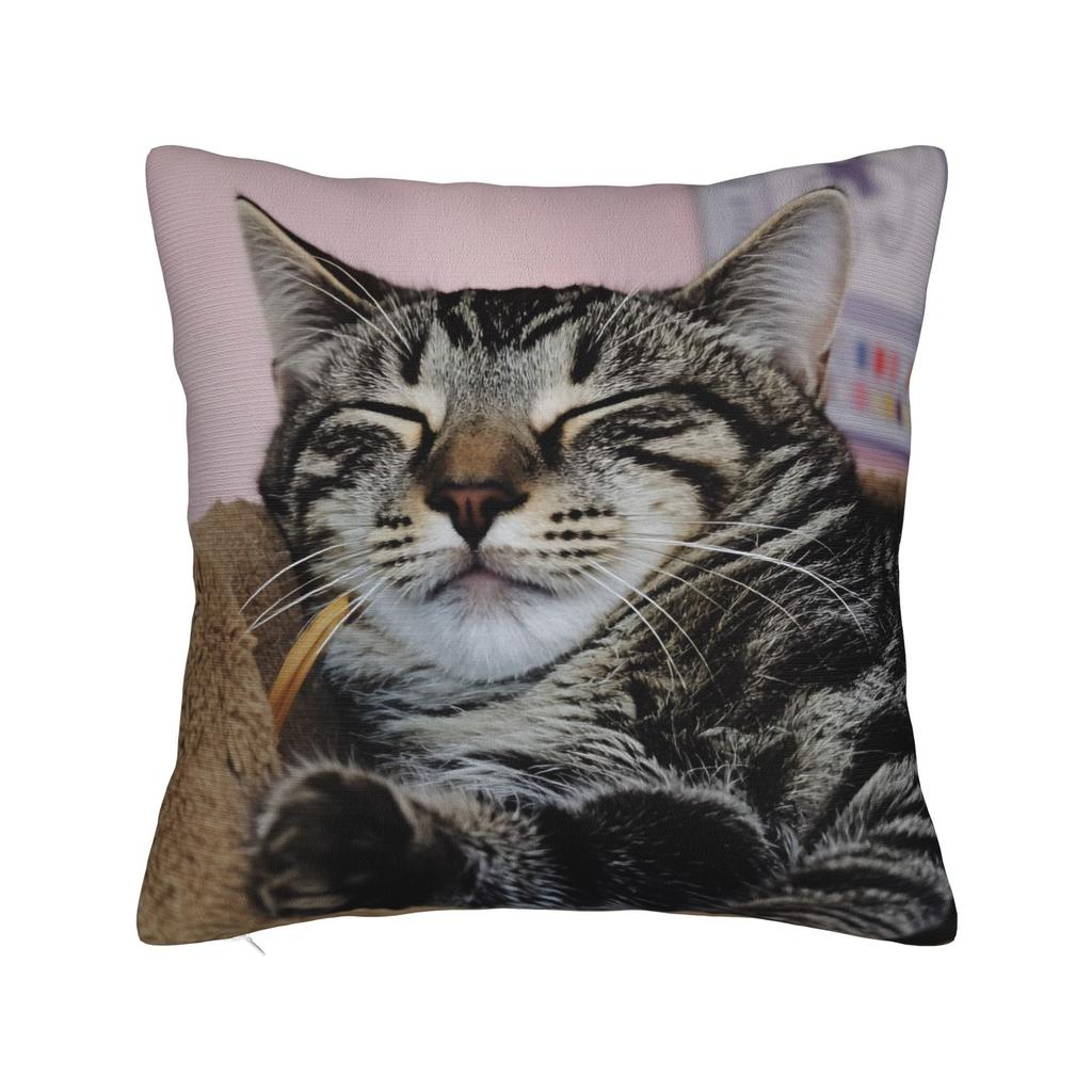 Cat Nap Artistic Design Pillow Case Kawaii Pillow Cover Comfy Pillowcases For Sofa Home Decor