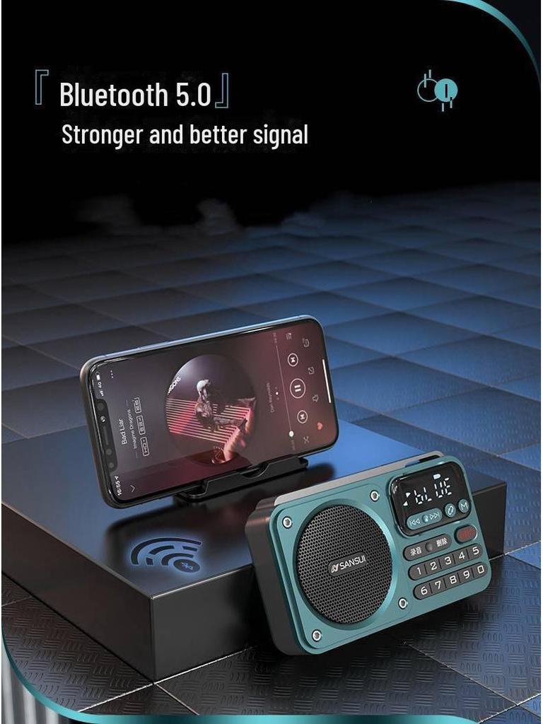 Sansui/Shanshui F22 bærbar Bluetooth-høyttaler med FM-radio og USB-opptak