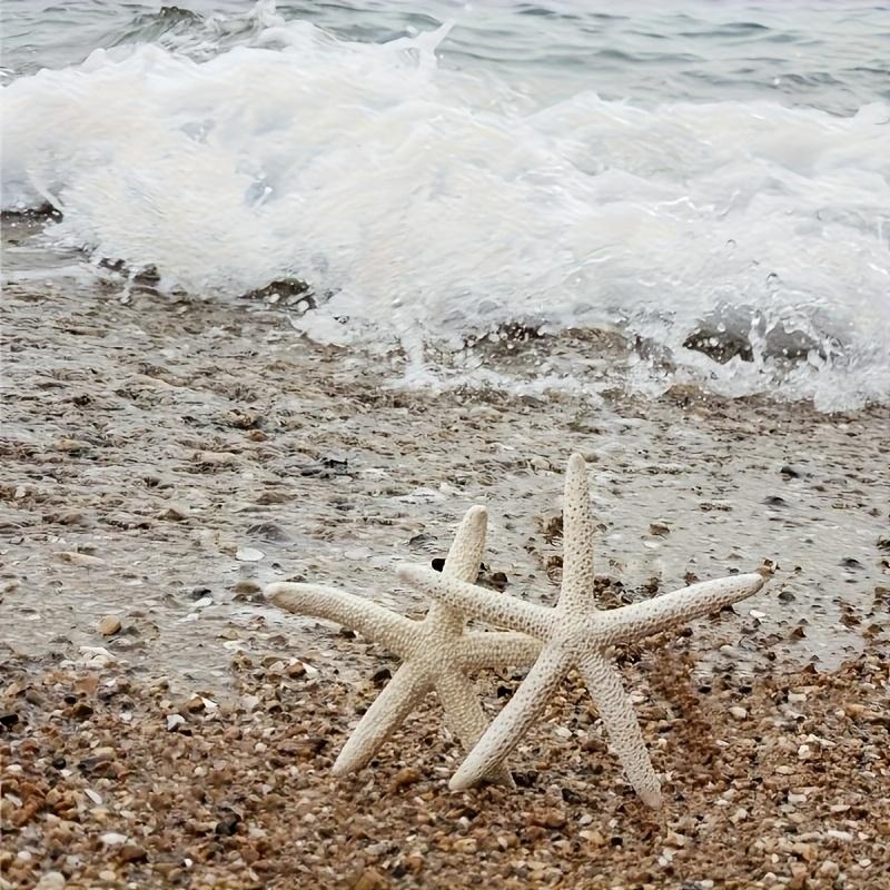 1 pz Set di stelle marine in resina fatte a mano in stile bohémien (4 pezzi)