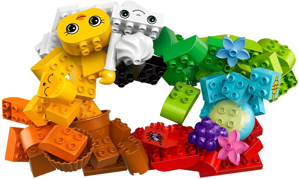 LEGO DUPLO Idea Box 10817 DUPLO® <Extra Set>