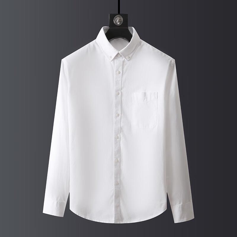 Men's Plus Size Oxford Long Sleeve Shirt