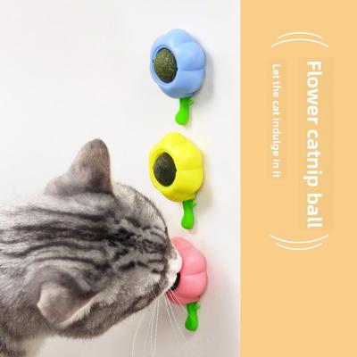 Gatos – Juguetes para gato