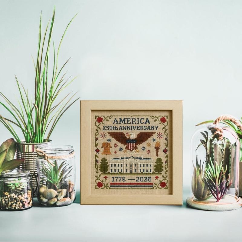 US 250th Anniversary Patriotic Memorial Embroidery Starter Set Count Format Gift