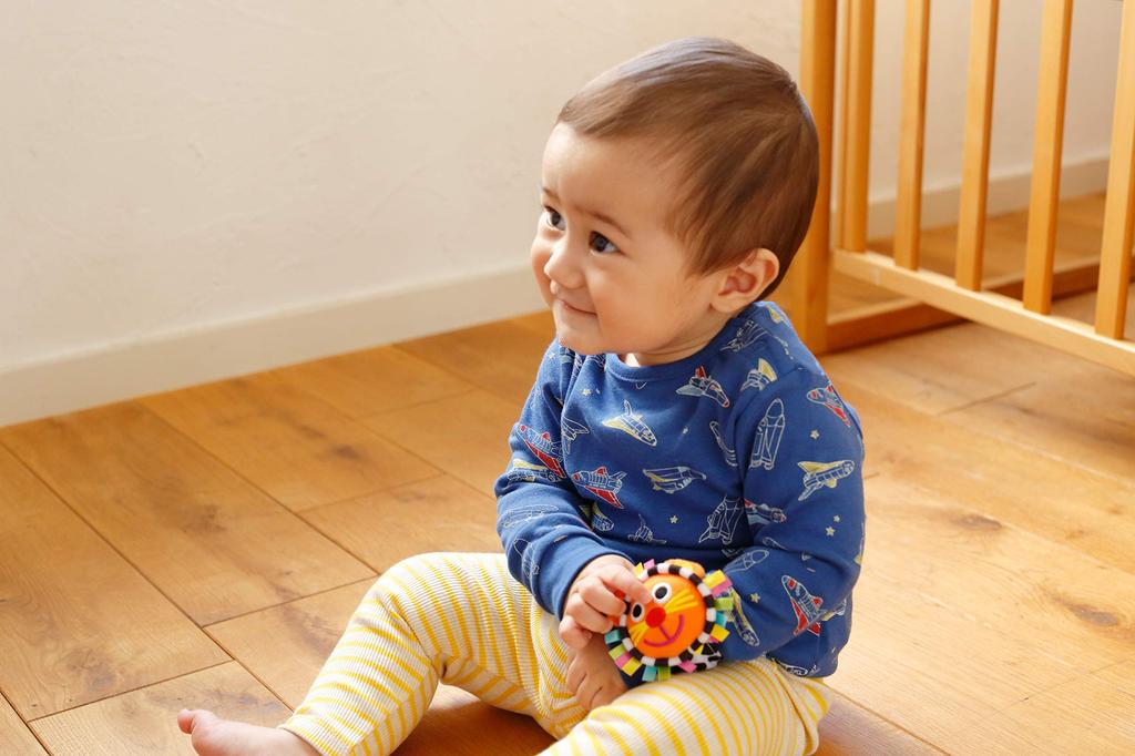 Sassy Colorful Charm TYSA80740 Band/Lion