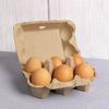 10 Stück, Native Eierverpackungsbox, Eierkarton Eierbox Zellstoff Eierkarton Erde Eierverpackungsbox für Familie, Bauernhof, Markt, Camping, Picknick