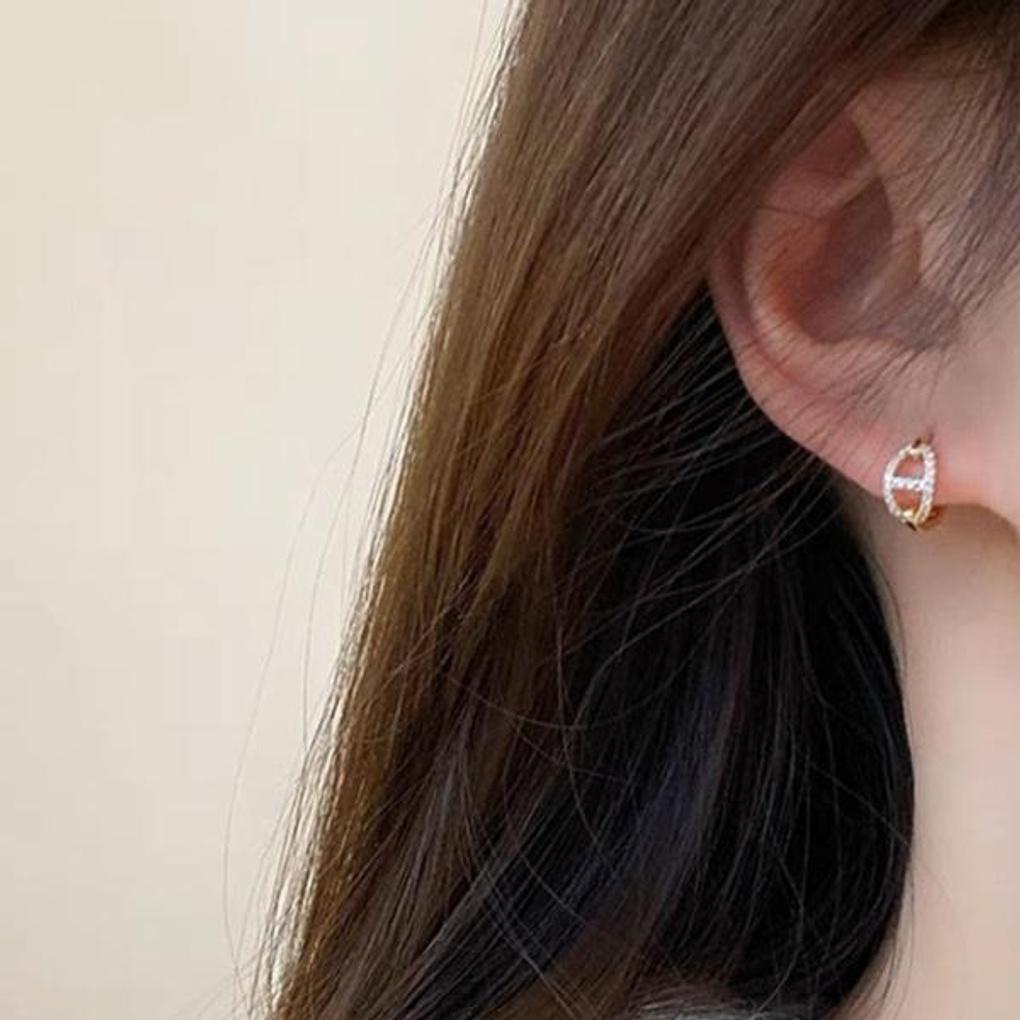 Women's Daily Pig Like Moment Hoop Earrings