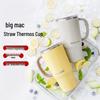 Buydeem 750ml Insulated Straw Mug