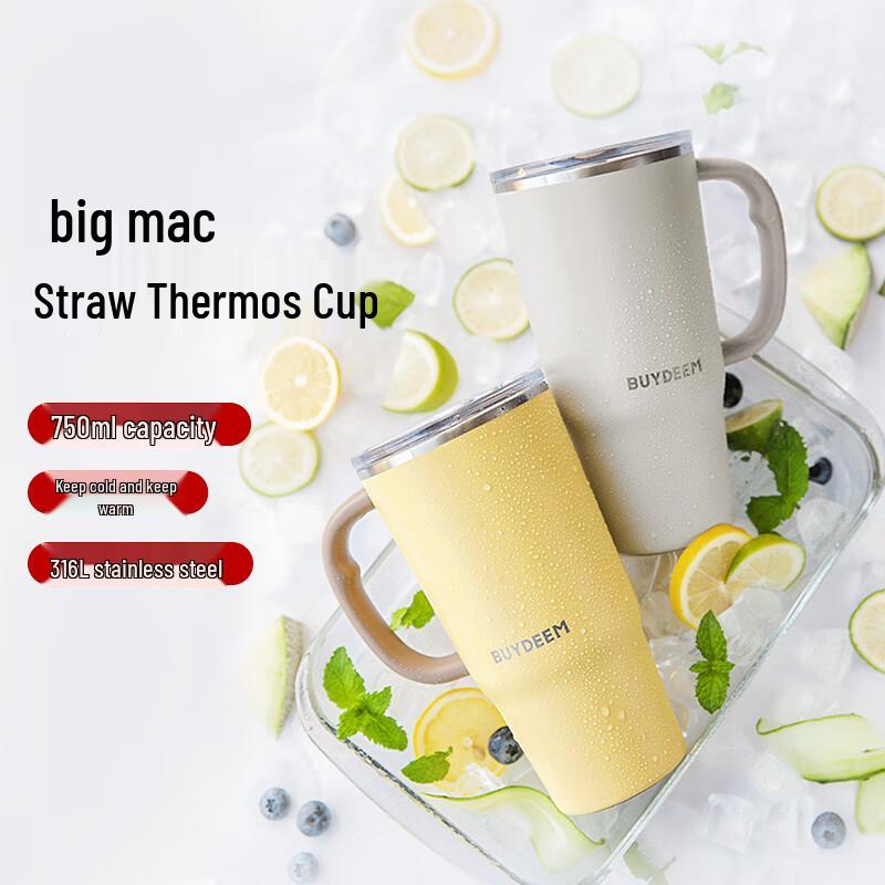 Buydeem 750ml Insulated Straw Mug