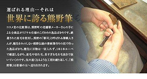 Kumano Brush Makeup Brush, Cosme-do Portable Slide-Type Squirrel Hair Eyeshadow Brush (Flat Brush) [RS Series] with Cap (Eyeshadow Brush) RS-03M