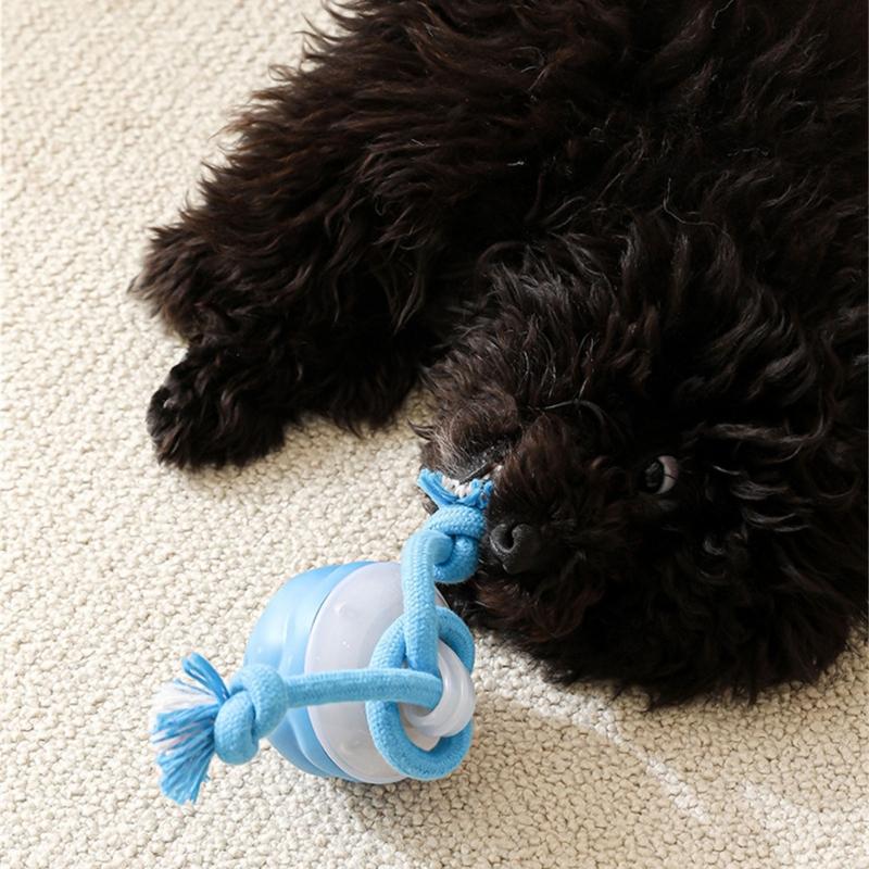 Interaction Motion Activated Dog Toy USB Rechargeable Electric Rolling Ball for Small to Large Breeds Dog Stress Reduce