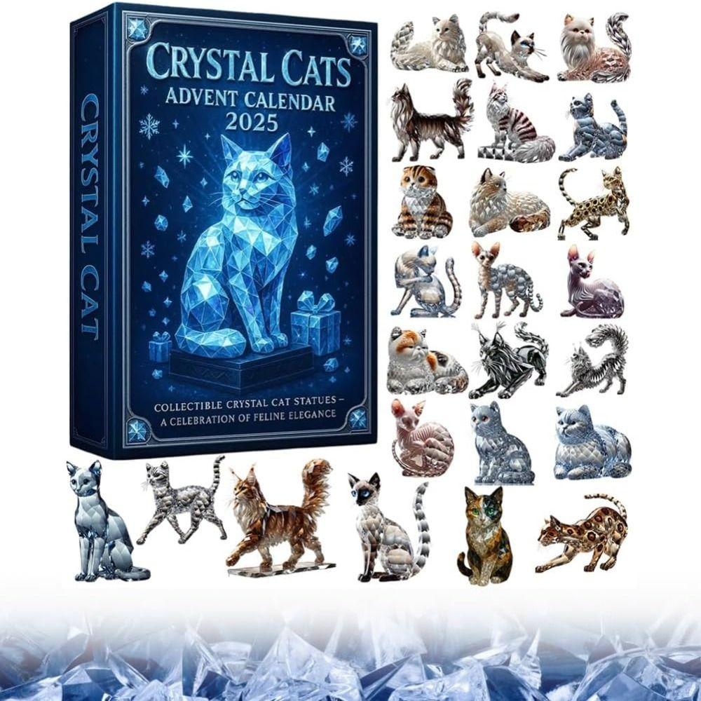 2D Acrylic Design Crystal Cat Christmas Advent Calendar  Festival Party Supplies