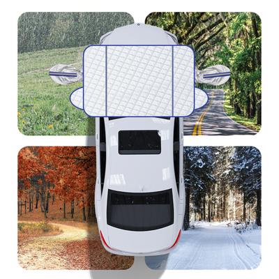 Cuidado y mantenimiento del coche – Anticongelante de coche