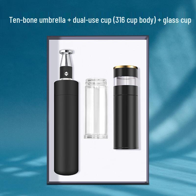 SX 316 Stainless Steel Insulated Temperature Control Mug & Automatic Umbrella Gift Set