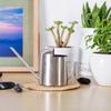 300ML Stainless Steel Watering Can with Long Spout for Plants and Succulents - Ideal for Kids and Mini Gardens