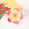 2Pcs Plumeria Flower Hairpin Non-slip Colorful Side Clips Decorative Plastic Hair Accessories for Women Girls