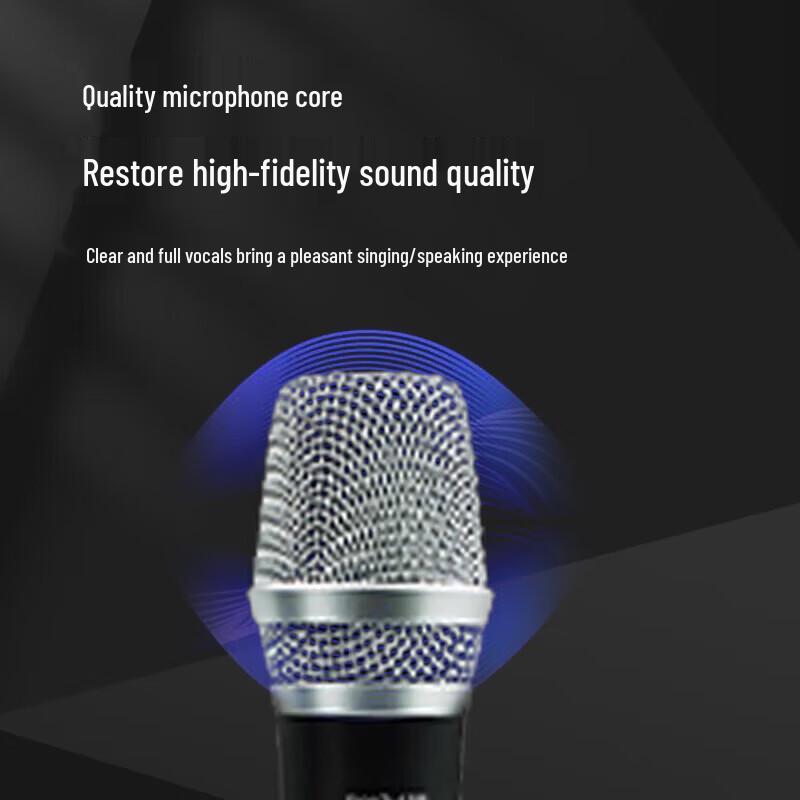FionTu FT-JP10-1 Wireless Conference Microphone System (CN Version)