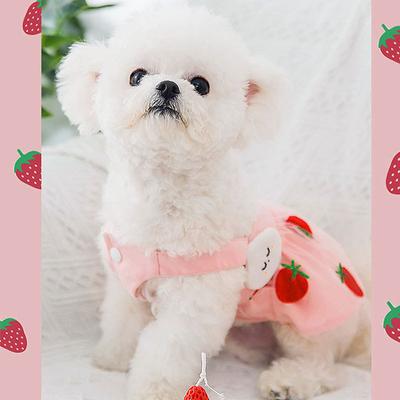 Strawberry Princess Gauze Skirt Dog Thin Sweet Dress Bichon Small Dog Cat Pet Clothes
