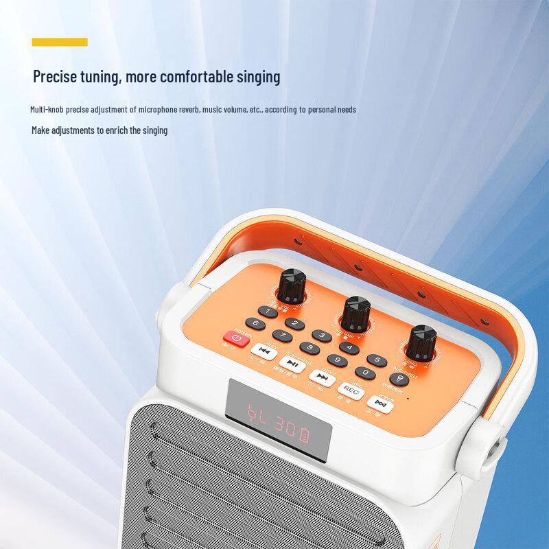 W-King T15 Portable Karaoke & Recording Bluetooth Speaker