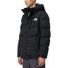 THE NORTH FACE Down Jackets & Coats Winter Unisex Black NJ1DN79A