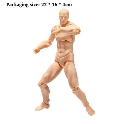 Male Female Body Figure Toy Movable Joints Drawing Mannequin Figure Models for Kids Scientific Cognitive Toys