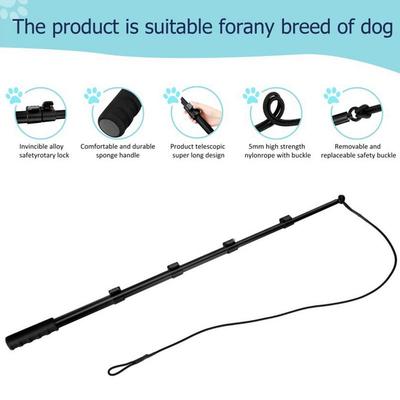 Dog Flirt Pole For Large Dogs Interactive Dog Toy Pet Wand Dog Pole Toy Dog Teaser Wand Retractable Flirt Stick Dog Agility