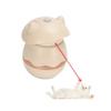 Automatic Laser Cat Toy Intelligent Sensing Infrared Cat Toys Electric 360° Rotation Interesting Design Pet Products Supplies