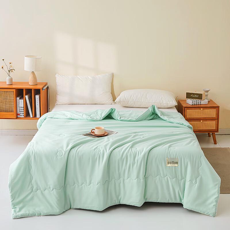 

Xuan Yu Cooling Soybean Fiber Summer Quilt